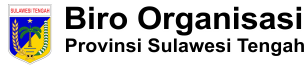 Biro Organisasi